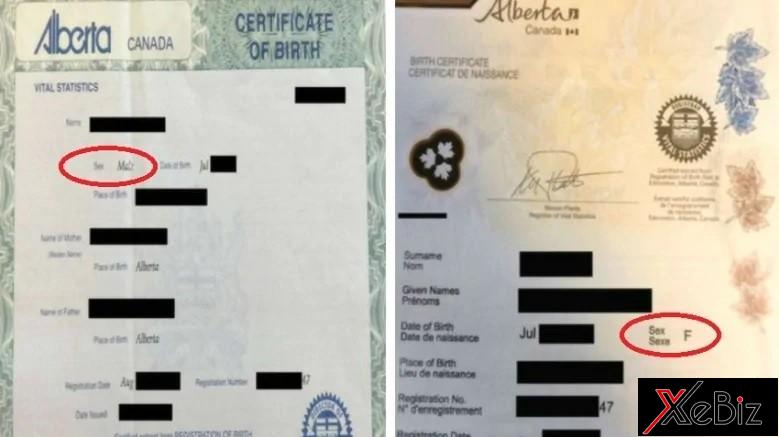 Giấy tờ khai sinh trước và sau của nam thanh niên ở Alberta, Canada