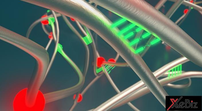 cao-su-tu-hoi-phuc-cua-havard-co-the-cach-mang-hoa-linh-vuc-lop-xe