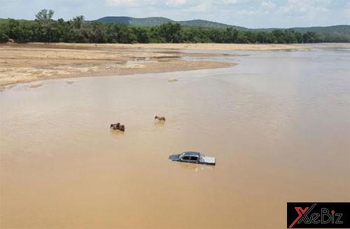 van-chuyen-lau-mercedes-bang-lua
