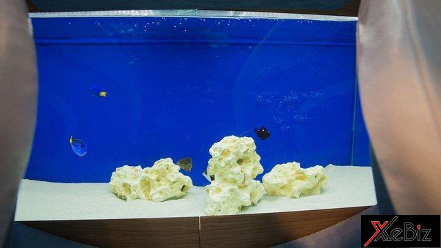 ngam-sieu-xe-charlotte-roadster-gia-15-trieu-euro-so-huu-be-ca-ben-trong