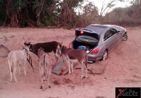 van-chuyen-lau-mercedes-bang-lua