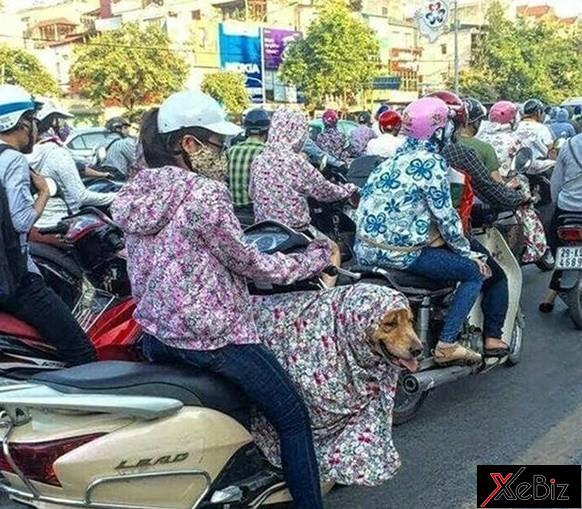 101 “tuyệt chiêu” chống nắng của phụ nữ Việt 101 “tuyệt chiêu” chống nắng của phụ nữ Việt