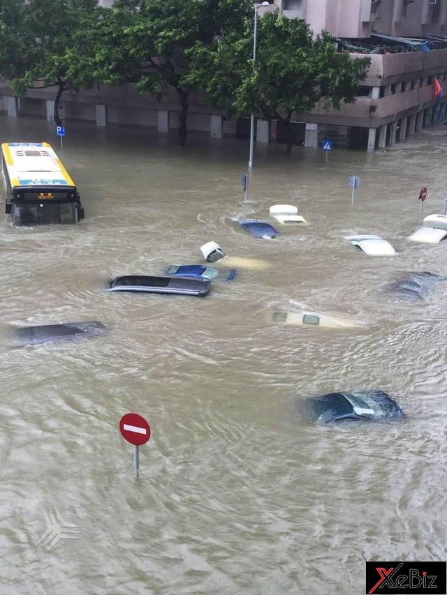 Số phận trôi nổi của những siêu xe sau bão 2 Số phận trôi nổi của những siêu xe sau bão 3