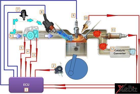 Cơ chế hoạt động của kim phun điện tử Cơ chế hoạt động của kim phun điện tử
