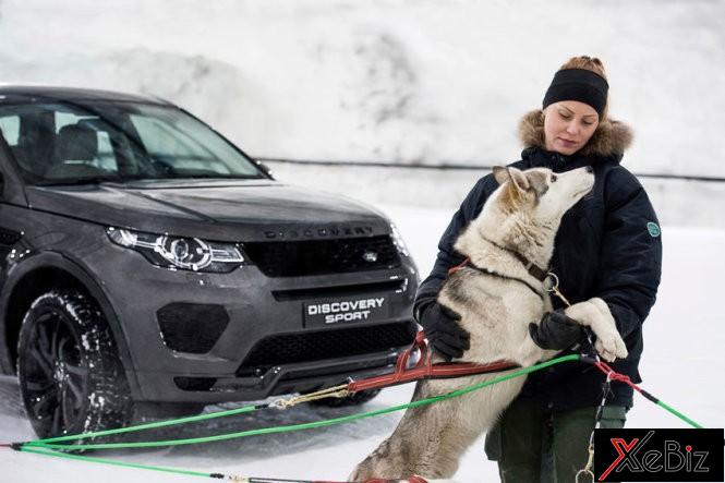Chó husky thách thức Discovery Sport 2018 trên địa hình băng tuyết 5