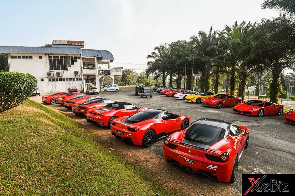 Dàn siêu xe Ferrari này đa số mang màu sơn đỏ Rosso Corsa. Một số chiếc mang màu vàng, xám, đen hay trắng