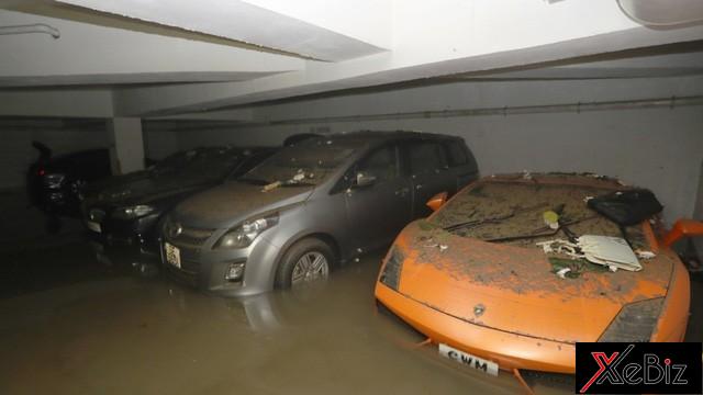 Số phận trôi nổi của những siêu xe sau bão 4 Số phận trôi nổi của những siêu xe sau bão 5