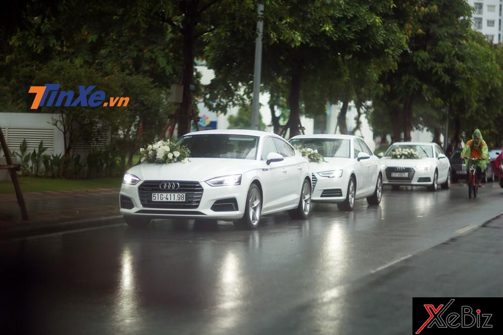 Những chiếc xe Audi xếp hàng chờ đón Á hậu Dương Tú Anh.