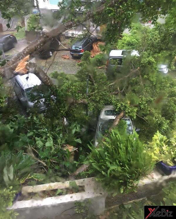 Hya la liệt các ô tô bị cây xanh đè lên sau khi bão Mangkhut hoành hành