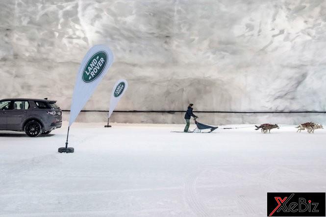 Chó husky thách thức Discovery Sport 2018 trên địa hình băng tuyết 1