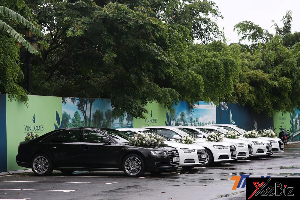 Dàn xe Audi trong ngày vui của Á hậu Dương Tú Anh.