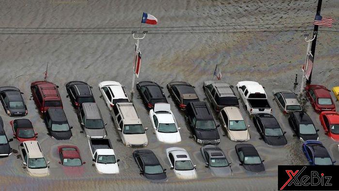 Hậu bão Harvey, nửa triệu ô tô Mỹ bị hư hỏng nặng Ô tô Mỹ thiệt hại nặng sau bão Harvey