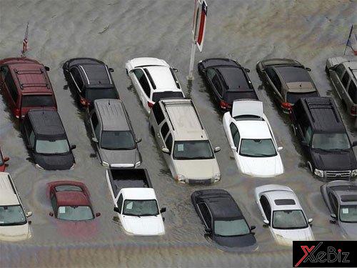 Bão Harvey gây ra hậu quả gấp đôi so với Sandy trút xuống New Jersey và New York hồi năm 2012 Bão Harvey gây ra hậu quả gấp đôi so với Sandy trút xuống New Jersey và New York hồi năm 2012 1